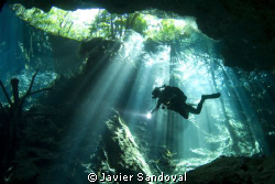 diver in cenote chacmool great dive!!! by Javier Sandoval 